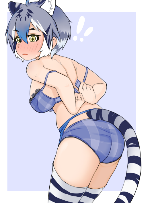 !, !!, 1girl, :o, ahoge, animal_ear_fluff, animal_ears, animal_print, ass, black_lace_trim, blue_bra, blue_hair, blue_pants, blush, bra, bra_strap, breasts, cowboy_shot, embarrassed, extra_ears, from_behind, garter_belt, hair_between_eyes, illu_(illu_stratos), kemono_friends, leaning_forward, legs_together, maltese_tiger_(kemono_friends), multicolored_hair, off_shoulder, open_mouth, panties, pants, plaid_bra, plaid_clothes, plaid_panties, removing_bra, sideboob, sidelocks, standing, striped_hair, surprised, tail, thighhighs, tiger_ears, tiger_girl, tiger_print, tiger_tail, underwear, undressing, white_hair, yellow_eyes