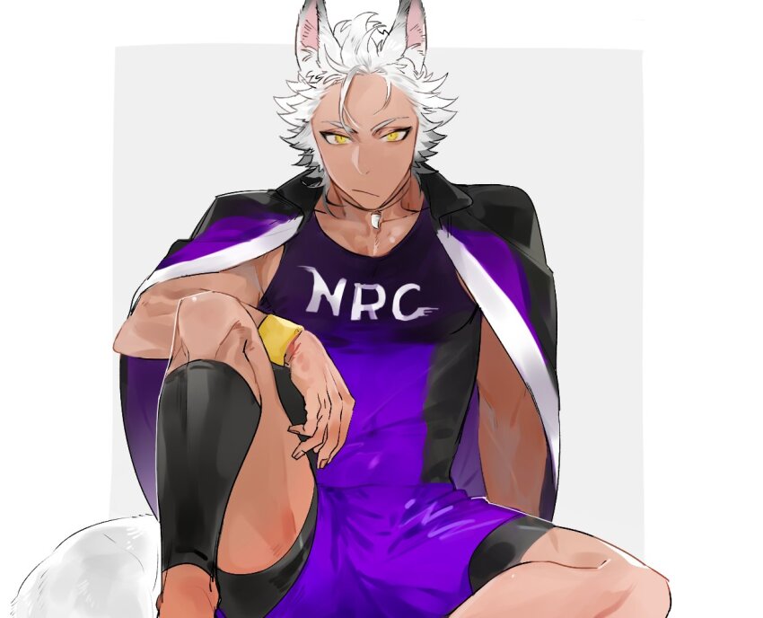 1boy, animal_ears, commentary_request, feet_out_of_frame, grey_background, jack_howl, jack_howl_(track_jersey), jacket, jacket_on_shoulders, knee_up, looking_at_viewer, male_focus, purple_jacket, shi646, short_hair, shorts, simple_background, sitting, sportswear, tail, twisted_wonderland, white_hair, wolf_boy, wolf_ears, wolf_tail, yellow_eyes