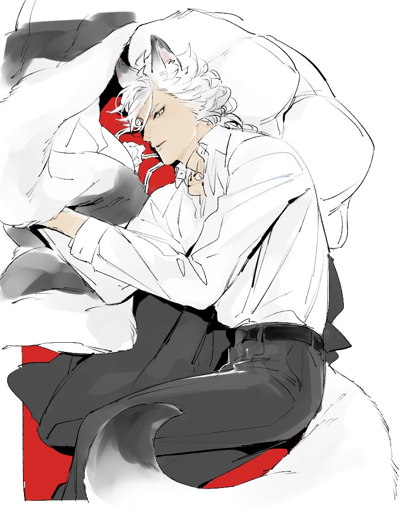 1boy, animal_ears, coat, commentary_request, feet_out_of_frame, jack_howl, long_sleeves, looking_at_viewer