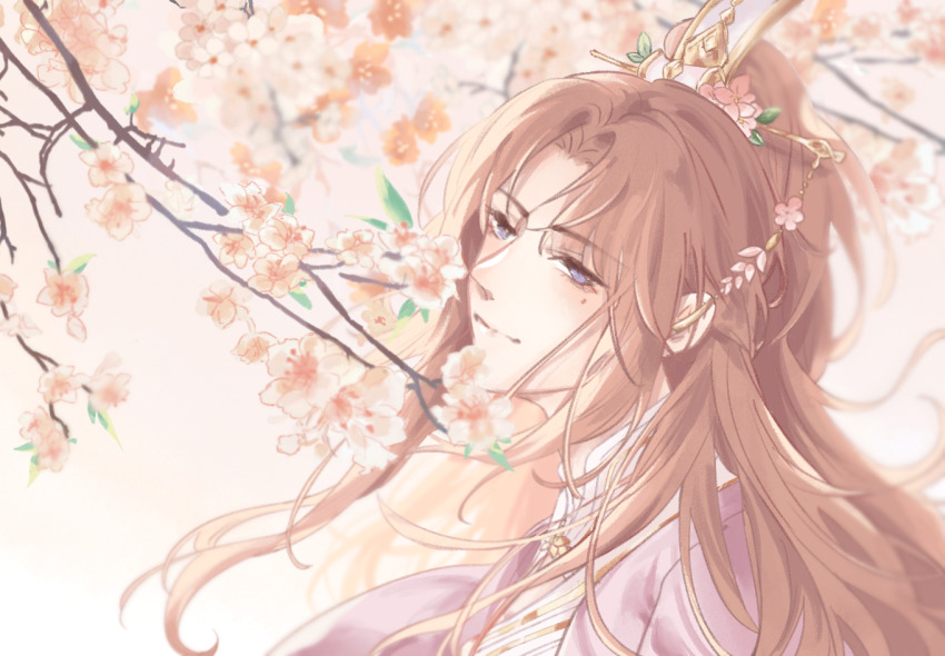 1boy, branch, cherry_blossoms, chinese_clothes, closed_mouth, coat, flower, from_side