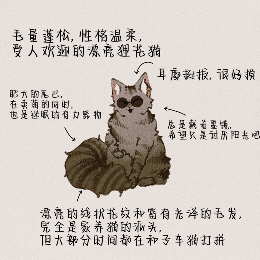 animal_focus, animalization, cat, chinese_commentary, chinese_text, closed_eyes, commentary_request, grey_cat, highres, kaishui_zhudan, lu_mi, no_humans, round_eyewear, simple_background, sunglasses, tabby_cat, tagme, touqi_guaitan, translation_request, white_background