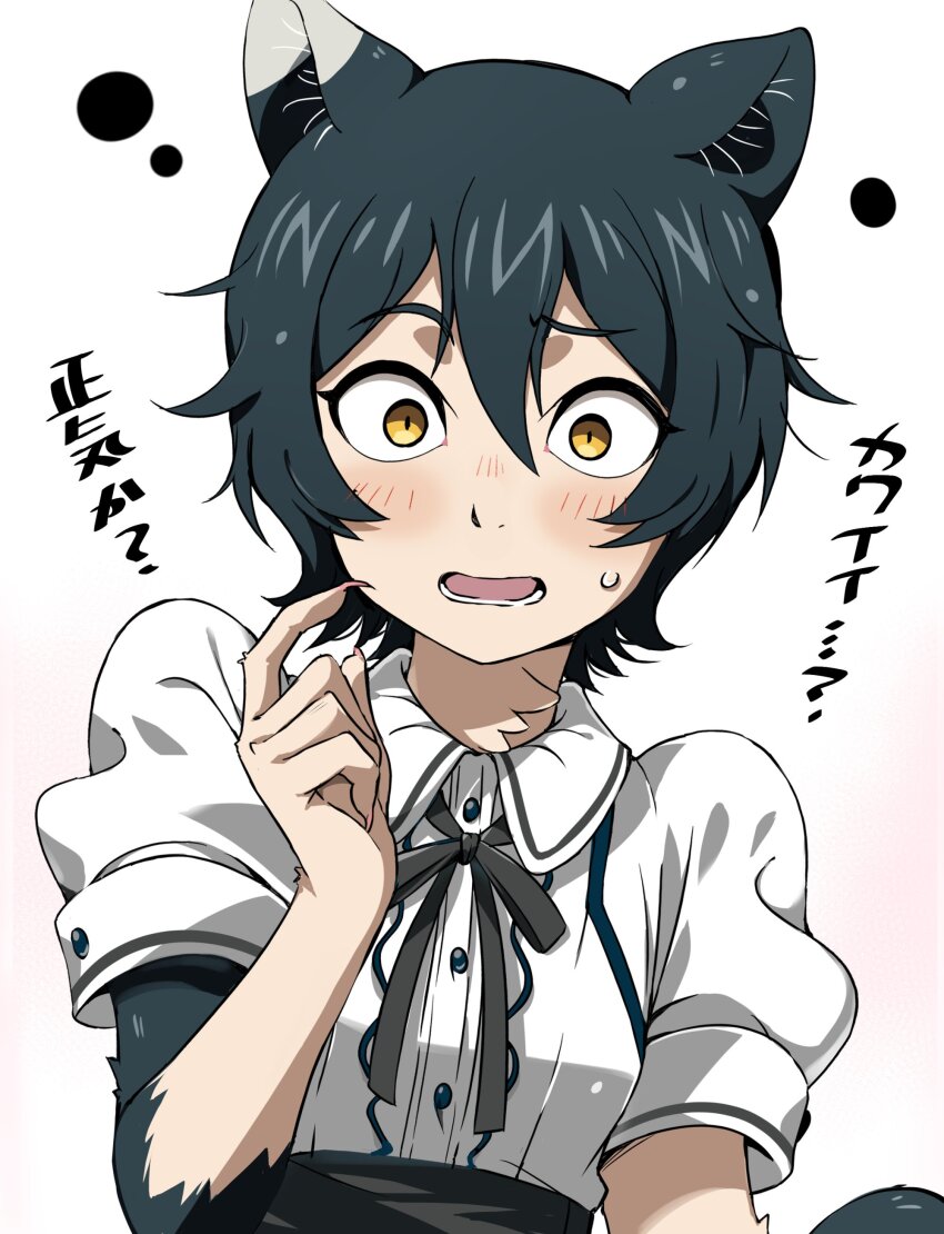 1girl, absurdres, animal_ears, arms_at_sides, black_hair, black_necktie, black_ribbon, black_skirt, blouse, blush, body_fur, breasts, cat_ears, cat_girl, cat_tail, circle, collared_shirt, commentary, constricted_pupils, curled_fingers, dress_shirt, dungeon_meshi, embarrassed, fingernails, flustered, hair_between_eyes, hand_up, highres, izutsumi, looking_at_viewer, lower_lip_only, multicolored_hair, nail_polish, neck_ribbon, necktie, open_mouth, parted_lips, pink_nails, puffy_short_sleeves, puffy_sleeves, raised_eyebrow, ribbon, sharp_fingernails, shirt, short_hair, short_sleeves, skirt, slit_pupils, small_breasts, solo, surprised, sweatdrop, tail, tokiani, tomboy, translated, two-tone_hair, upper_body, white_background, white_hair, white_shirt, yellow_eyes