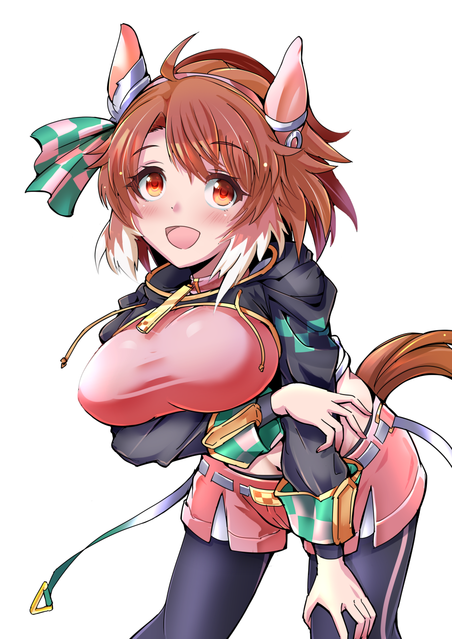 1girl, ahoge, animal_ears, b_dome, breasts, brown_eyes, brown_hair, commentary_request