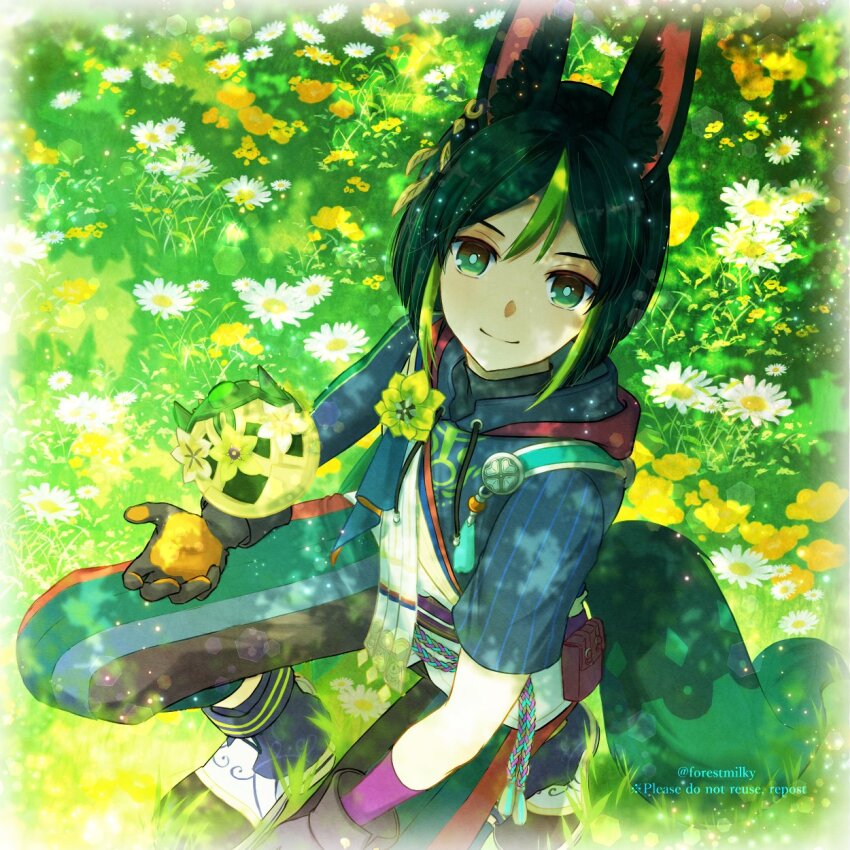 1boy, animal_ear_fluff, asymmetrical_sleeves, belt_pouch, black_gloves, black_hair, black_pants, commentary_request, day, flower, fox_boy, fox_tail, genshin_impact, gloves, grass, green_eyes, green_hair, green_pants, green_tail, hair_between_eyes, highres, hood, hood_down, long_hair, long_sleeves, looking_at_viewer, male_focus, mismatched_sleeves, morinaga_miru, multicolored_hair, multicolored_pants, on_one_knee, outdoors, pants, pouch, short_sleeves, smile, solo, streaked_hair, tail, tighnari_(genshin_impact), twitter_username, two-tone_gloves, uneven_sleeves, white_flower, yellow_gloves