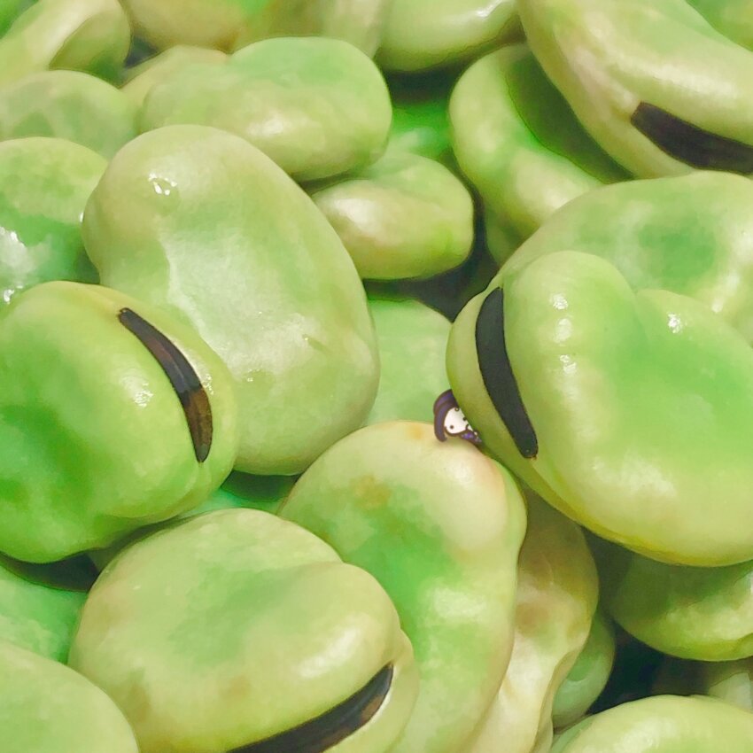 1boy, full_body, green_bean, highres, jamil_viper, jamil_viper_(beans_camo), kirakira_huuuki, male_focus