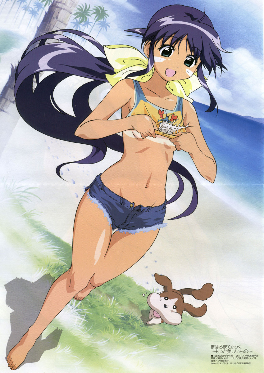 1girl, absurdres, andou_mahoro, android, animal, artist_request, barefoot, beach, bikini_tan, blue_hair, breasts, clothes_lift, cloud, conch, copyright_name, cutoffs, denim, denim_shorts, dog, dutch_angle, feet, gainax, green_eyes, guri_(mahoromatic), hermit_crab, high_ponytail, highres, lifting_own_clothes, long_hair, mahoromatic, midriff, no_bra, ocean, outdoors, palm_tree, ponytail, scan, scan_artifacts, self_exposure, shirt_lift, short_shorts, shorts, sky, small_breasts, tagme, tan, tank_top, tanline, tree, unbuttoned, very_long_hair