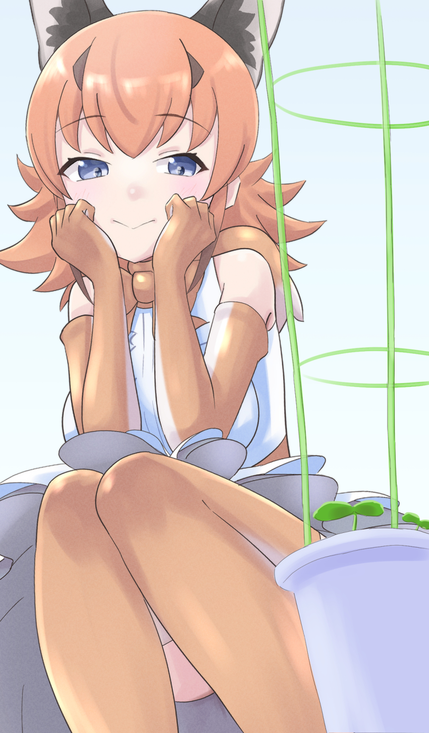 1girl, animal_ears, blue_eyes, bow, bowtie, caracal_(kemono_friends), cat_ears, cat_girl