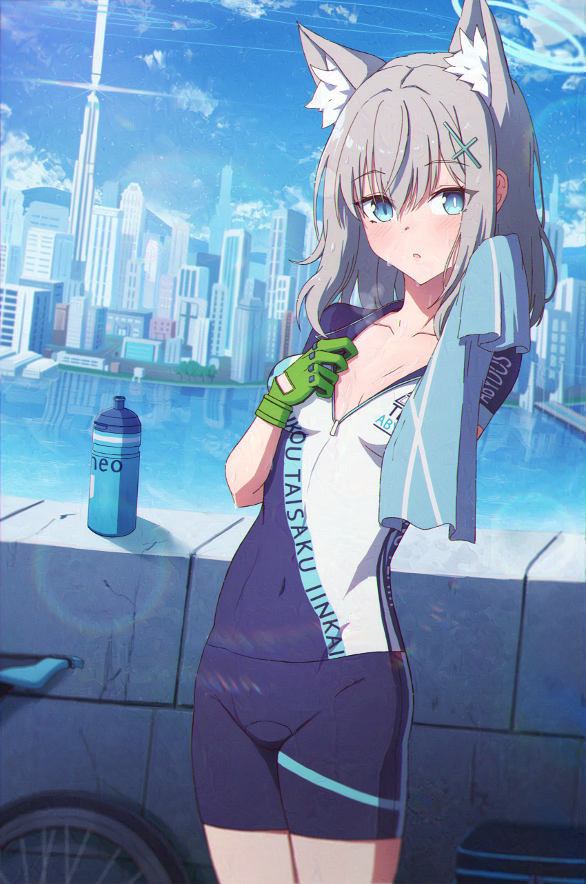 1girl, absurdres, adversarial_noise, animal_ear_fluff, animal_ears, bike_jersey, bike_shorts, blue_archive