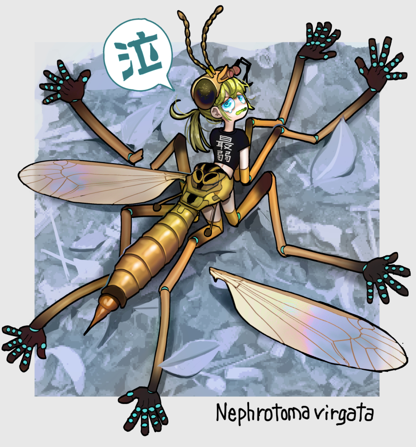 1girl, absurdres, antennae, arthropod_girl, arthropod_limbs, black_shirt, blue_background, blue_eyes