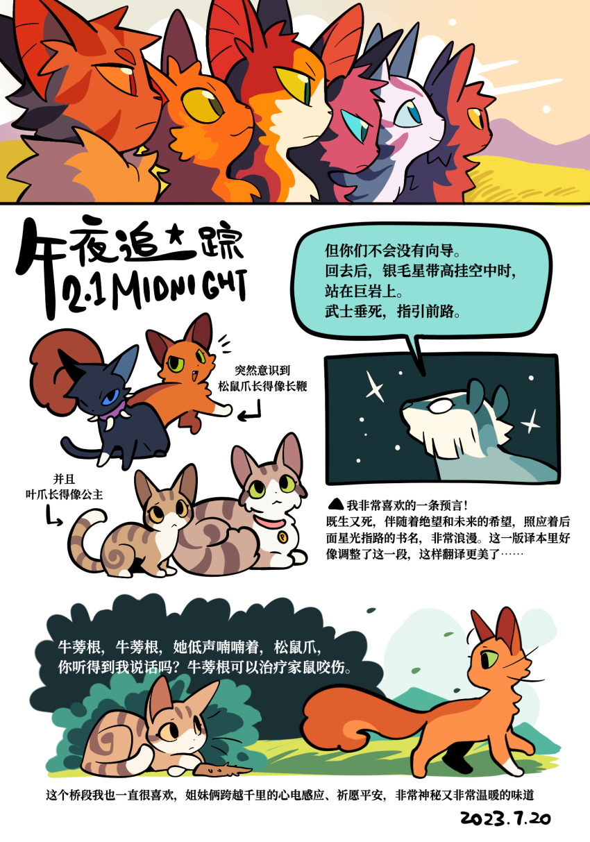 animal, animal_focus, aunt_and_niece, badger, black_cat, blue_eyes, bramblestar, brother_and_sister