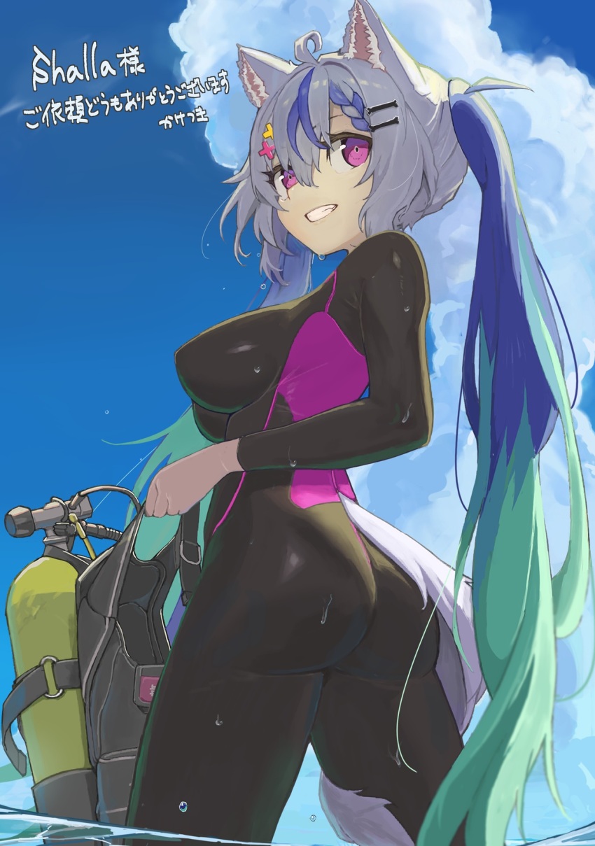 animal_ears, ass, black_bodysuit, black_wetsuit, blue_hair, blue_sky, bodysuit, bouhuman