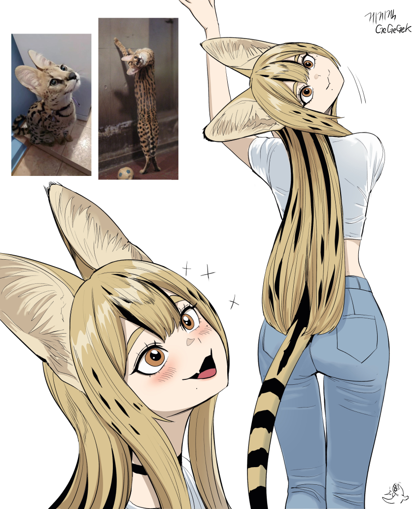 180_head_tilt, 1girl, absurdres, animal_ears, ass, black_choker, black_eyes, cat_girl, choker, creature_and_personification, crop_top, cropped_shirt, fang, full_body, gegegekman, highres, long_hair, long_sleeves, midriff, multicolored_hair, navel, open_mouth, original, pants, personification, photo_inset, reference_inset, serval, serval_gf_(gegegekman), shirt, simple_background, smile, tail, teeth, white_background