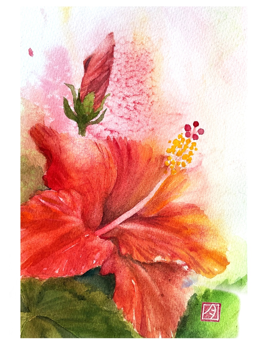 absurdres, border, bud, flower, flower_focus, highres, leaf, no_humans