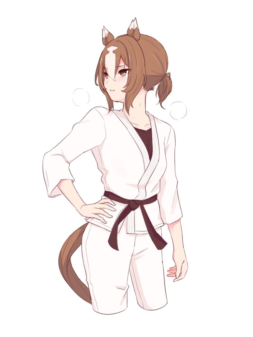 1girl, alternate_costume, animal_ears, arm_at_side, black_shirt, breasts, breath, brown_eyes, brown_hair, bukeo, cropped_legs, dougi, hair_between_eyes, hand_on_own_hip, highres, horse_ears, horse_girl, horse_tail, jacket, karate_gi, long_sleeves, looking_to_the_side, martial_arts_belt, multicolored_hair, pants, parted_lips, ponytail, shirt, short_ponytail, simple_background, small_breasts, solo, streaked_hair, sweat, tail, umamusume, white_background, white_jacket, white_pants, yaeno_muteki_(umamusume)