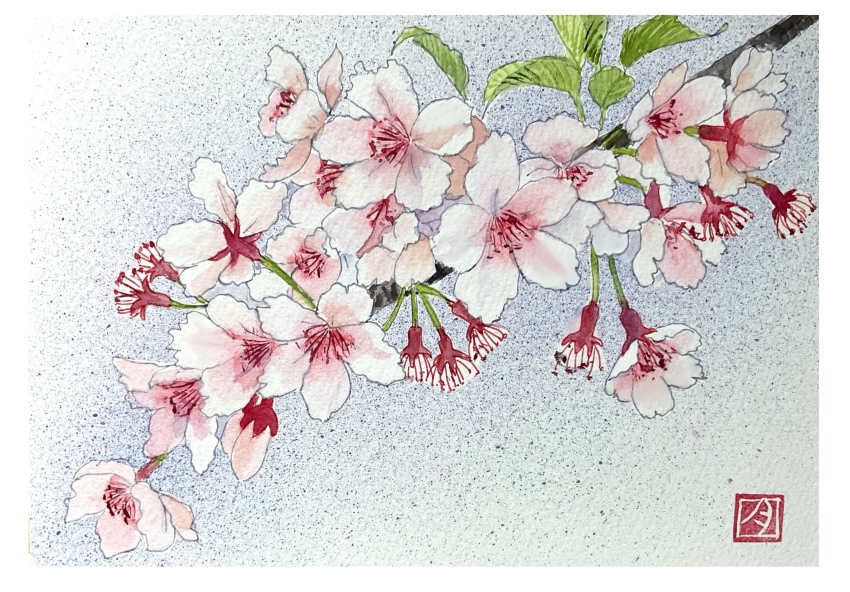 border, branch, cherry_blossoms, flower, flower_focus, grey_background, highres, leaf