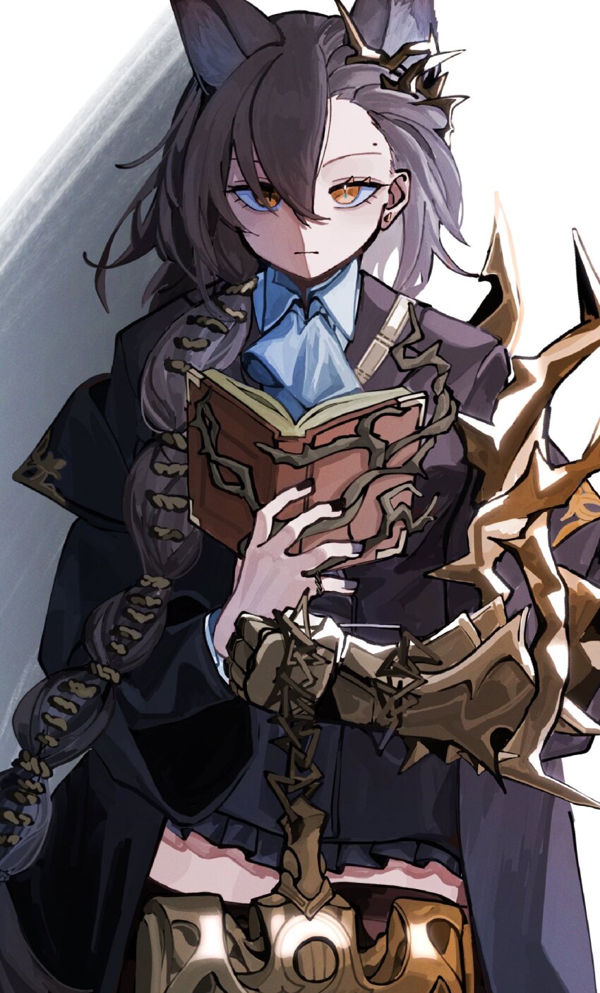 1girl, animal_ears, arknights, ascot, black_coat, book, braid, brown_hair