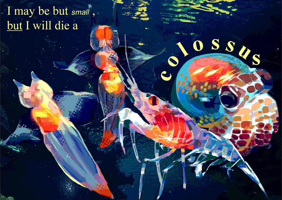 animal, animal_focus, commentary, english_commentary, english_text, fish, fish_request, no_humans