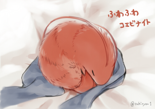 animal, animal_focus, animalization, bed_sheet, blanket, commentary_request, curled_up, lowres