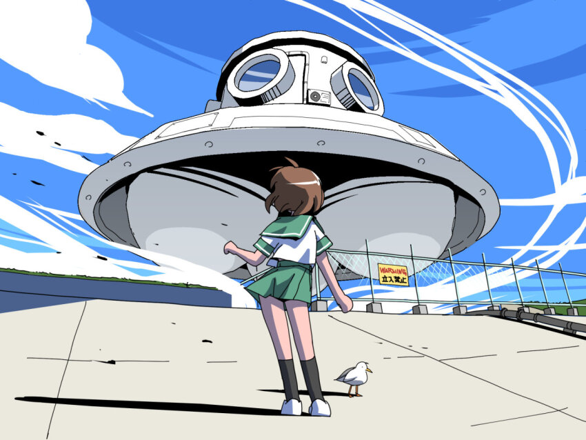 1girl, bird, black_socks, blue_sky, brown_hair, chain-link_fence, cloud, day