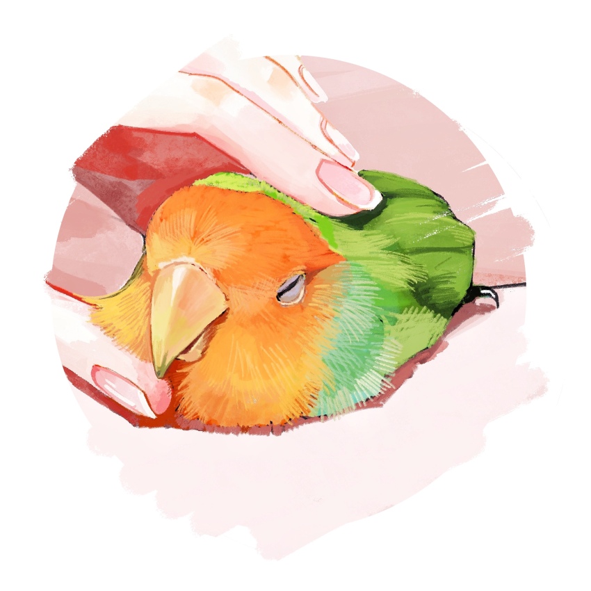 1girl, animal, animal_focus, bird, bluebluecathy, closed_eyes, commentary_request, highres