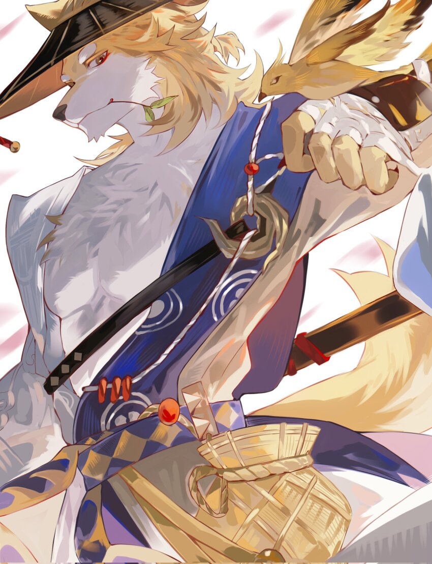 1boy, animal, animal_ears, axianorange, bandaged_hand, bandages, bird, bird_on_hand