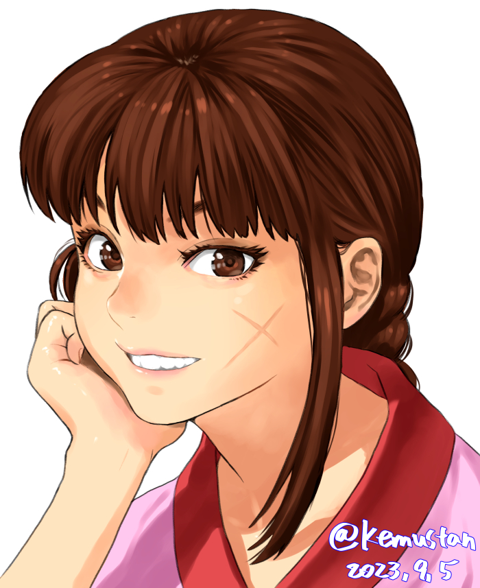 1girl, braid, brown_eyes, brown_hair, commentary_request, head_rest, lei_kuugo, live_a_live