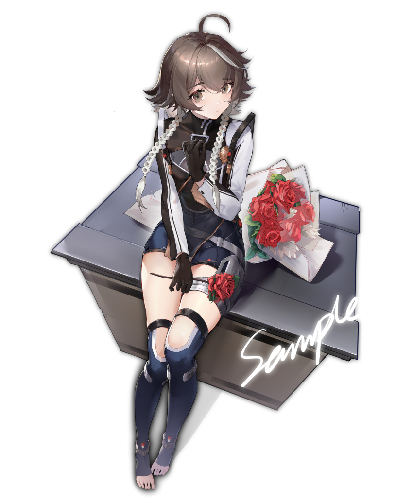 1girl, absurdres, ahoge, black_gloves, black_hair, black_shorts, bouquet, braid, brown_hair, cherno_kegaard, cherno_kegaard_-_those_two, dearduam, flower, full_body, gloves, hand_on_own_chest, highres, holding, long_hair, long_sleeves, looking_at_viewer, low_twin_braids, multicolored_hair, red_flower, red_rose, rose, shirt, shorts, sitting, snowbreak:_containment_zone, solo, streaked_hair, thighs, toeless_legwear, twin_braids, white_hair