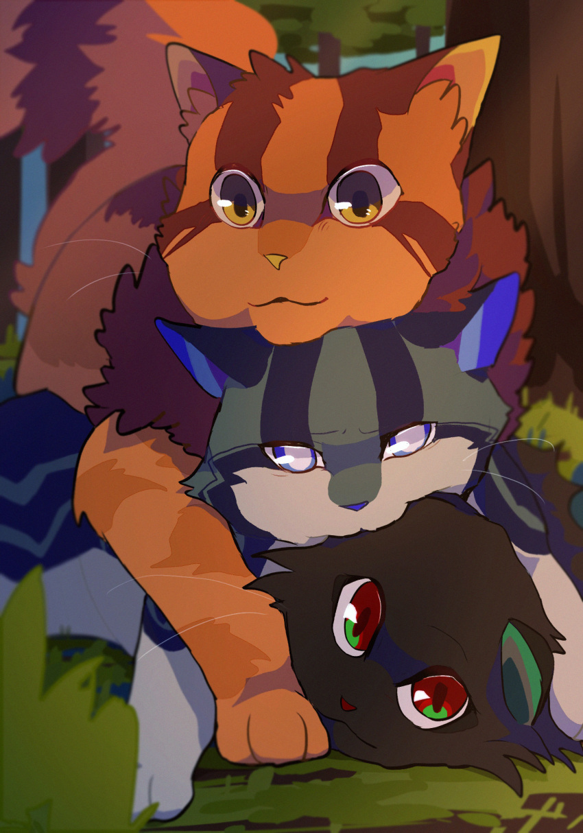 :3, animal, animal_focus, black_cat, blind, blue_eyes, bright_pupils, brother_and_sister