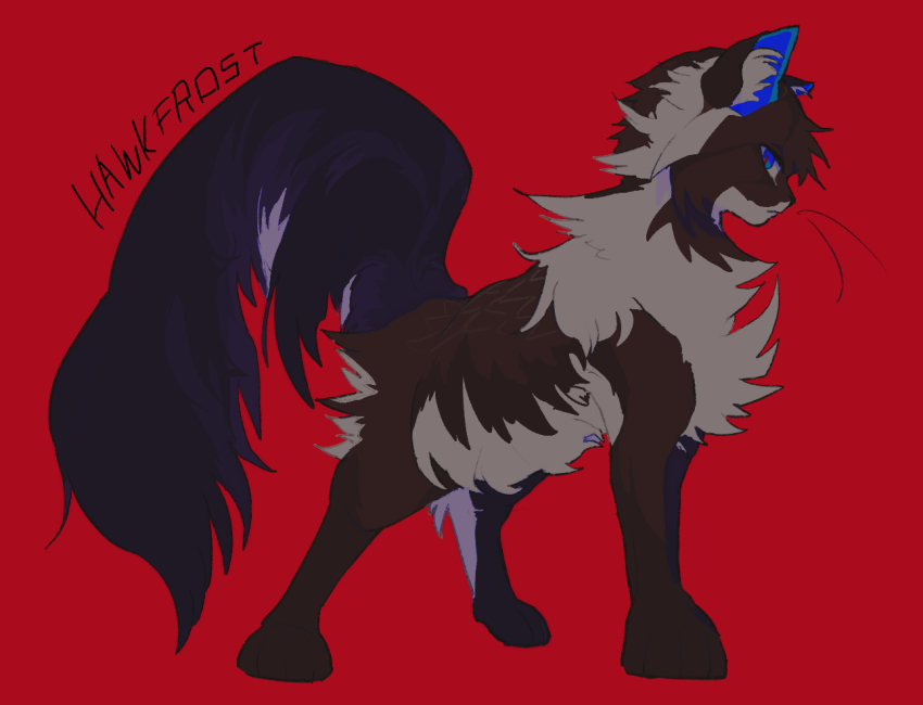 animal, animal_ear_fluff, animal_focus, blue_eyes, cat, character_name, commentary, fluffy, from_side, full_body, hawkfrost, looking_at_viewer, minamia23, no_humans, red_background, simple_background, solo, standing, tail, warrior_cats, whiskers