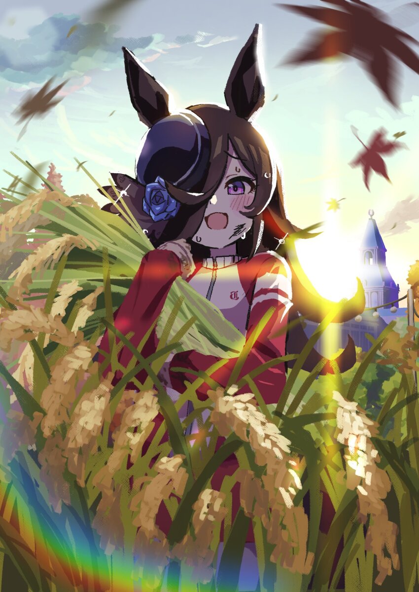 1girl, animal_ears, blue_flower, blue_rose, blush, brown_hair, fascinator, flower, garryaoki, hair_flower, hair_ornament, highres, horse_ears, horse_girl, jacket, long_hair, long_sleeves, looking_at_viewer, multicolored_jacket, open_mouth, pants, purple_eyes, red_jacket, red_pants, rice, rice_shower_(umamusume), rose, smile, solo, sweatdrop, tracen_training_uniform, track_jacket, track_pants, track_suit, two-tone_jacket, umamusume, white_jacket