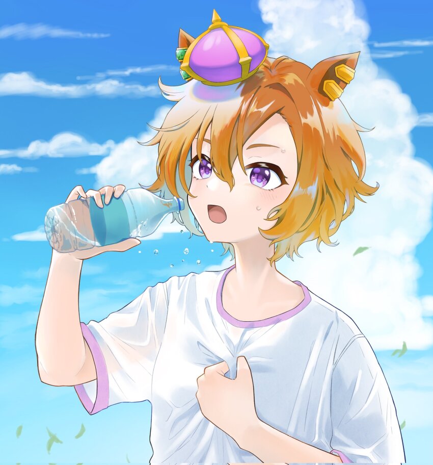 1girl, animal_ears, blue_sky, bottle, cloud, crown, drinking, ear_ornament