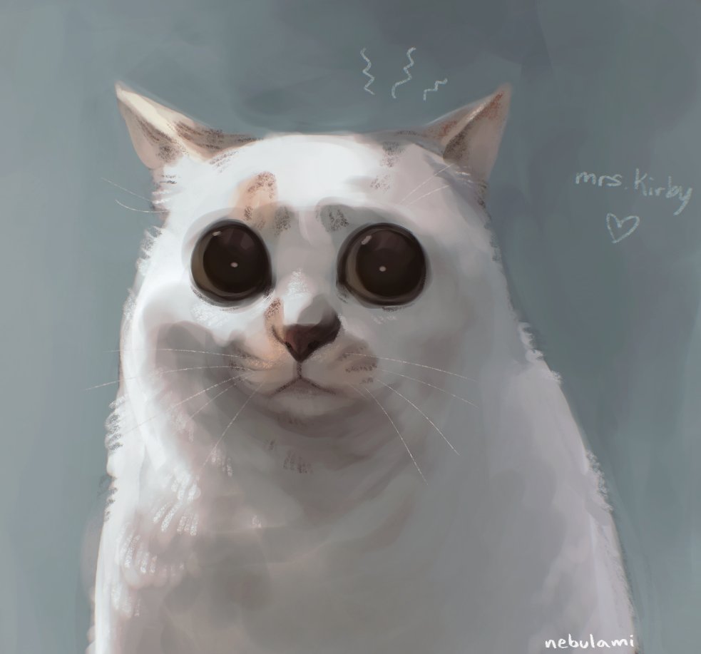 animal, animal_focus, cat, character_name, commentary, english_commentary, heart, hello_street_cat, mrs._kirby, nebulami, no_humans, real_life, signature, simple_background, solo, upper_body, whiskers, wide-eyed