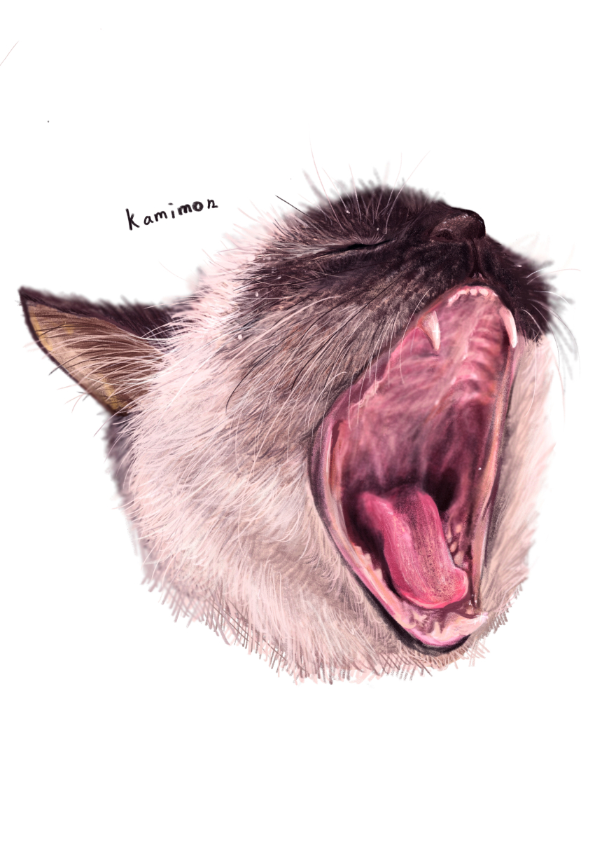 absurdres, animal, animal_ears, animal_focus, artist_name, cat, cat_ears, closed_eyes