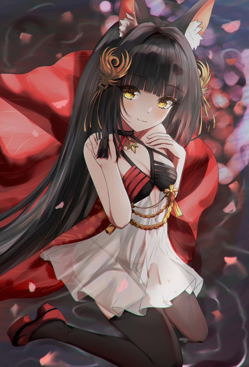 1girl, animal_ears, azur_lane, bare_shoulders, black_hair, black_panties, blush, brown_hair