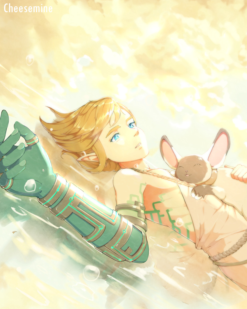 1boy, :3, absurdres, animal, animal_collar, animal_on_chest, archaic_set_(zelda), arm_armor