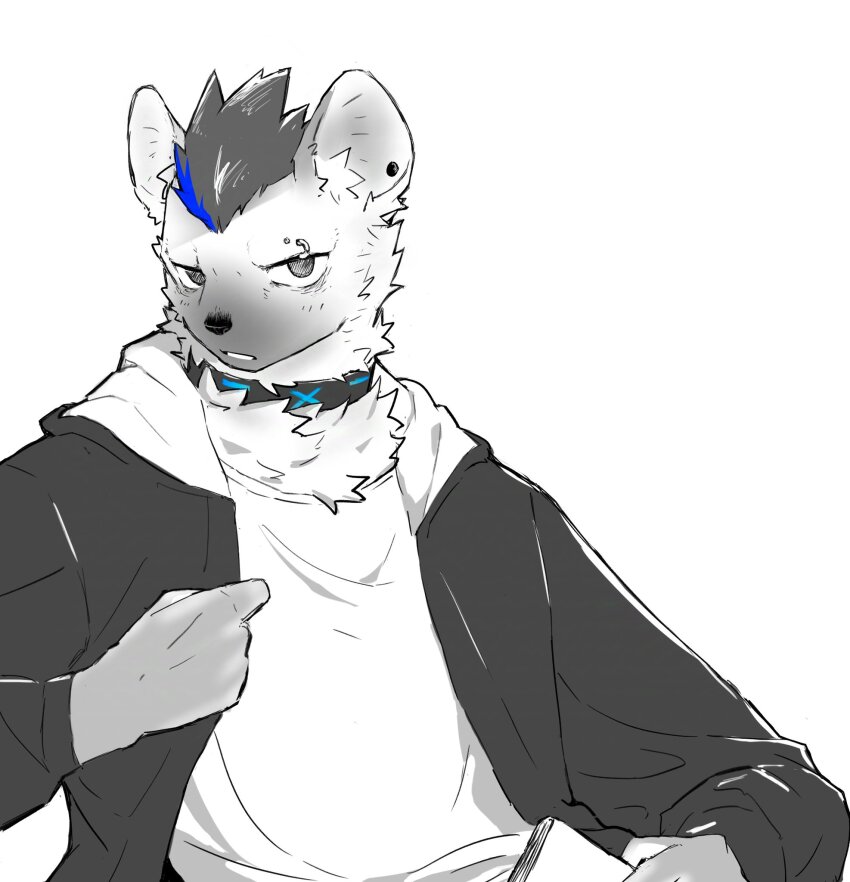 1boy, arknights, book, collar, commentary, dog-nose, ear_piercing, english_commentary, eyebrow_piercing, face_piercing, furry, furry_male, grey_eyes, grey_fur, highres, holding, holding_book, hood, hooded_jacket, howl_hao, hyena_boy, hyena_ears, jacket, looking_at_viewer, male_focus, multicolored_hair, open_mouth, piercing, shirt, spot_(arknights), streaked_hair, upper_body, white_background, white_shirt