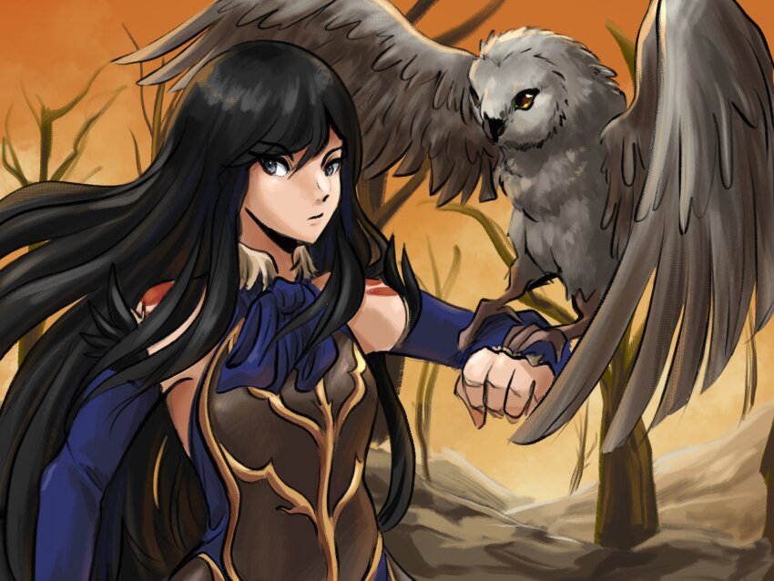 1girl, black_hair, blue_eyes, castlevania:_order_of_ecclesia, castlevania_(series), detached_sleeves, highres, konami