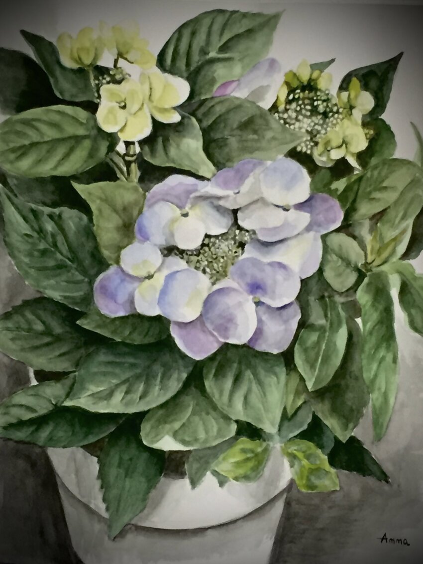 flower, flower_focus, flower_pot, green_flower, grey_background, highres, no_humans, original