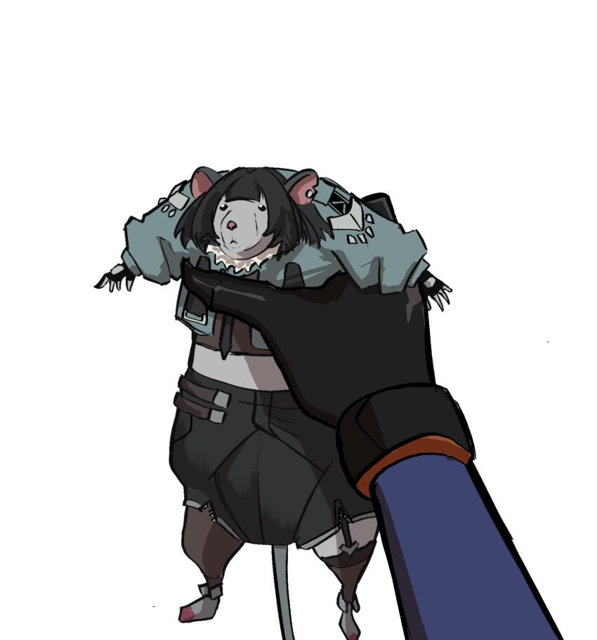 2girls, animal, animal_focus, animalization, asymmetrical_legwear, black_gloves, black_hair, black_necktie, black_pantyhose, black_shorts, black_thighhighs, cropped_jacket, fingerless_gloves, fur-trimmed_jacket, fur_trim, garter_straps, gloves, grey_jacket, highres, holding, holding_animal, jacket, jane_doe_(zenless_zone_zero), midriff, mouse_(animal), multiple_girls, mystickeiji24, necktie, pantyhose, pov, pov_hands, short_hair, shorts, simple_background, single_leg_pantyhose, single_thighhigh, thighhighs, uneven_legwear, unzipped, white_background, zenless_zone_zero, zhu_yuan