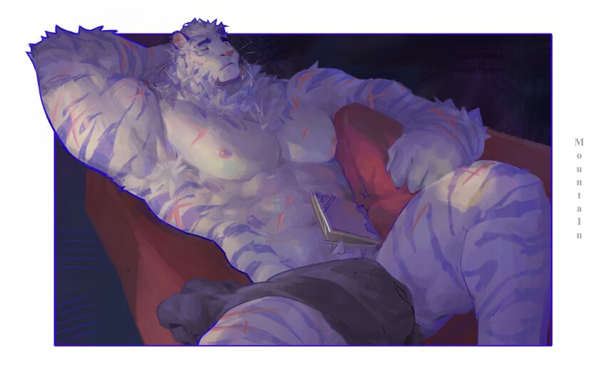 1boy, abs, animal_ears, arknights, arm_behind_head, bara, black_blanket, blanket_over_legs, book, character_name, closed_eyes, coffeedemise, commentary, couch, english_commentary, furry, furry_male, highres, lying, male_focus, mountain_(arknights), multiple_scars, muscular, muscular_male, navel, nipples, on_back, on_couch, pectorals, scar, scar_on_arm, scar_on_chest, scar_on_face, scar_on_leg, scar_on_nose, scar_on_shoulder, scar_on_stomach, sleeping, tiger_boy, tiger_ears, tiger_stripes, whiskers