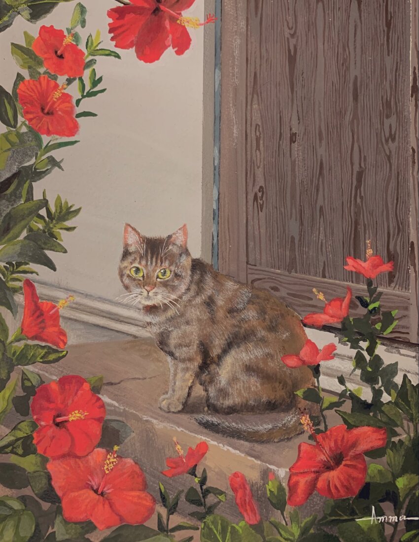 animal, animal_focus, cat, door, flower, highres, looking_at_viewer, no_humans