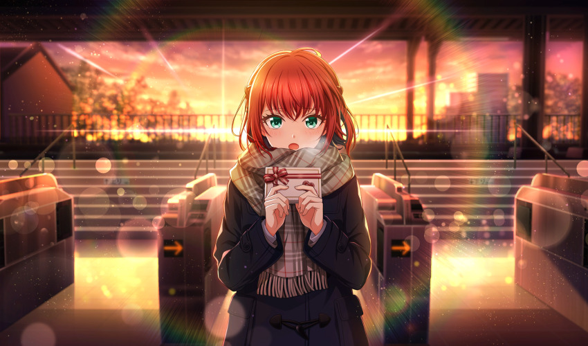 1girl, black_coat, blurry, blush, box, braid, breath, brown_scarf