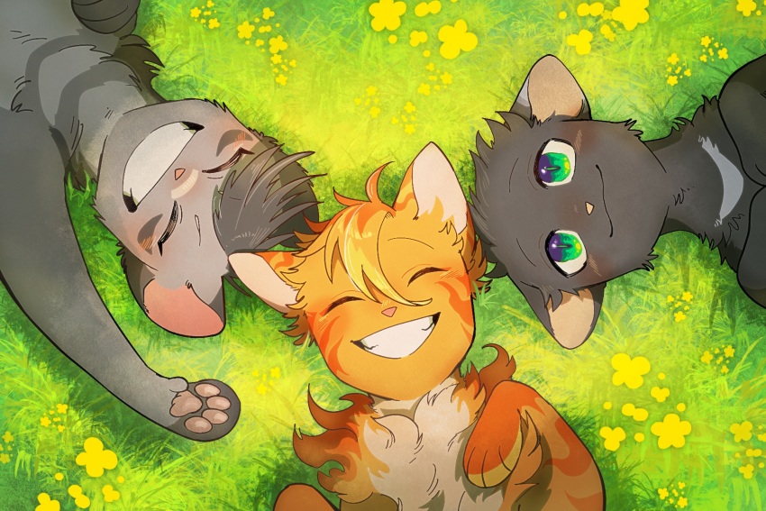 :3, animal, animal_focus, black_cat, blush, cat, closed_eyes, commentary_request