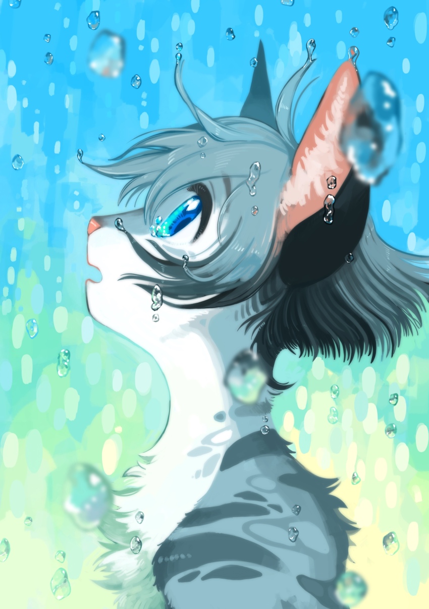 1girl, absurdres, animal_ears, animal_nose, blue_eyes, body_fur, cat_ears, cat_girl, commentary_request, furry, furry_female, grey_fur, grey_hair, highres, looking_up, neko_gokoro, open_mouth, personification, profile, short_hair, silverstream_(warrior_cats), solo, the_prophecies_begin, upper_body, warrior_cats, water, water_drop