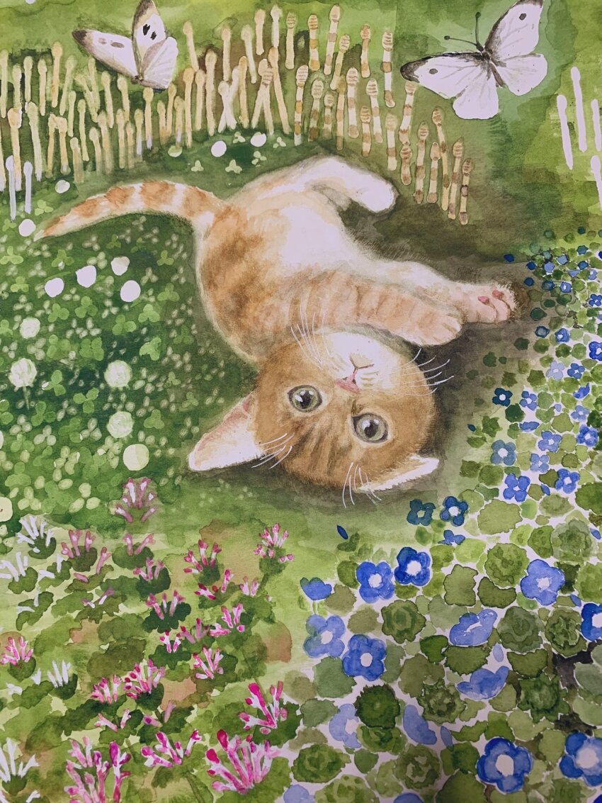 animal, animal_focus, blue_flower, bug, butterfly, cat, flower, highres