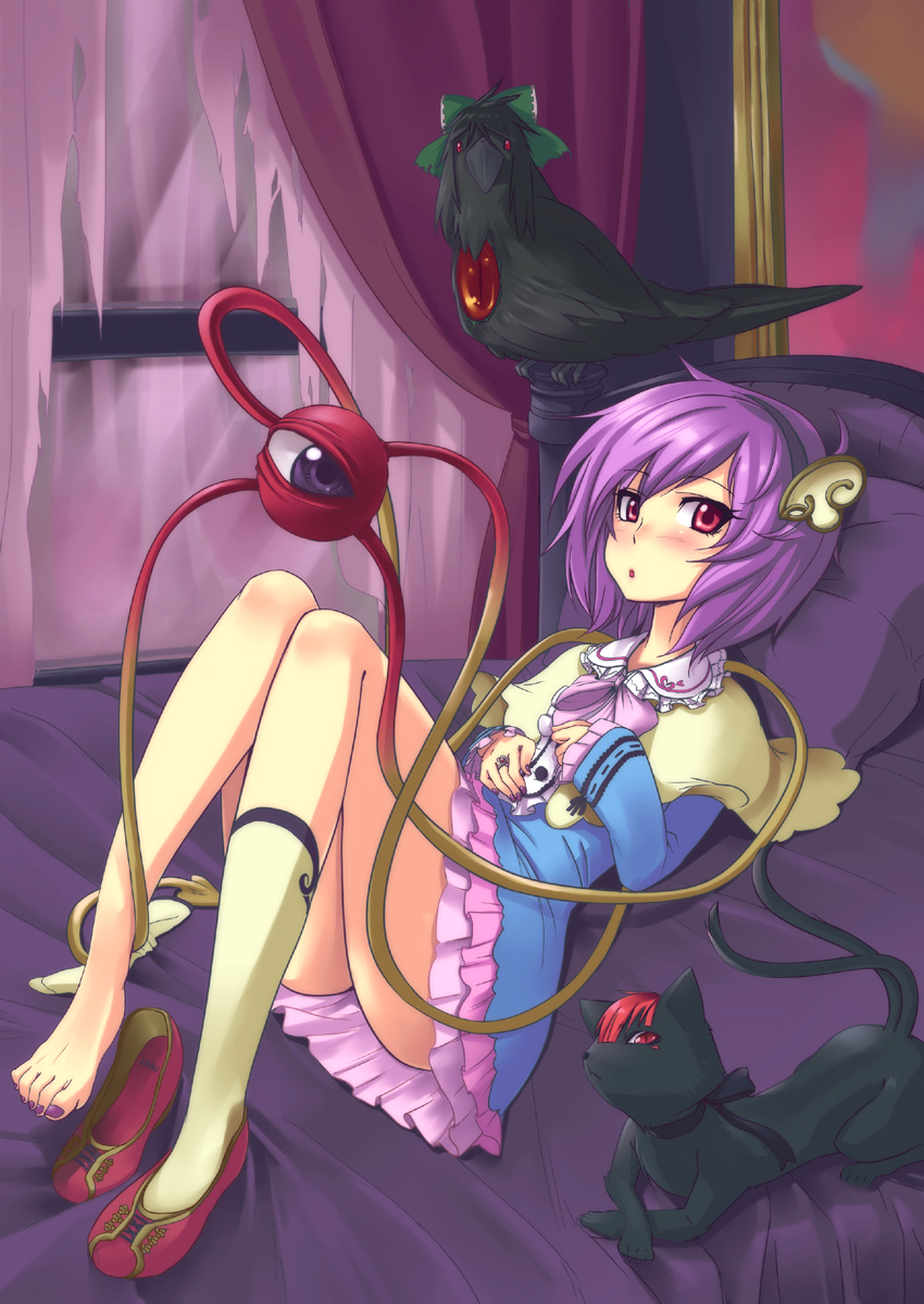 1girl, barefoot, bed, bird, cat, eyeball, feet, female_focus