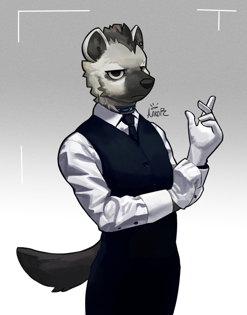 1boy, absurdres, animal_ear_fluff, ankorthewolf, arknights, artist_name, black_hair, black_necktie, black_pants, black_vest, border, closed_mouth, commentary, ear_piercing, english_commentary, eyebrow_piercing, face_piercing, furry, furry_male, gloves, grey_background, grey_fur, highres, hyena_boy, hyena_ears, hyena_tail, infection_monitor_(arknights), long_sleeves, looking_to_the_side, male_focus, necktie, pants, piercing, putting_on_gloves, serious, shirt, signature, spot_(arknights), vest, white_gloves, white_shirt