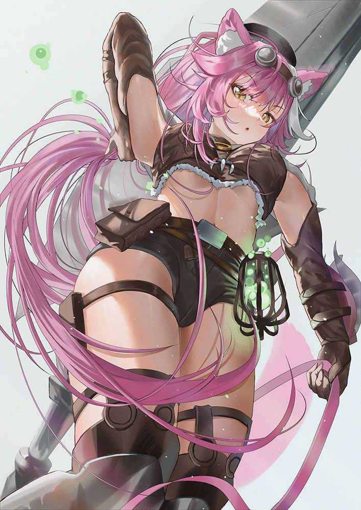 1girl, animal_ear_fluff, animal_ears, belt, belt_pouch, breasts, goggles, hat