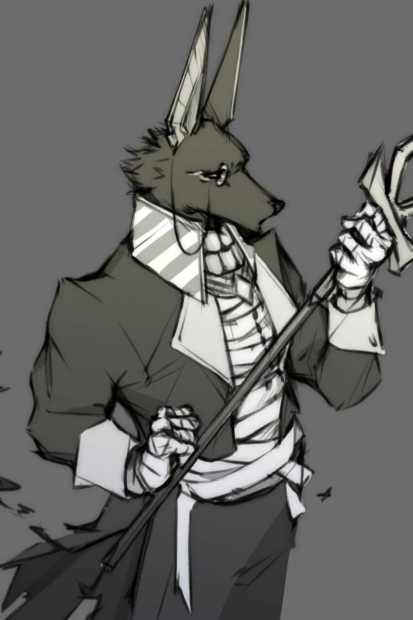 1boy, animal_ears, ankh, bandaged_hand, bandaged_torso, bandages, coat, commentary