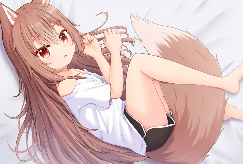 1girl, animal_ears, black_shorts, brown_hair, dolphin_shorts, expressionless, fang, fetal_position